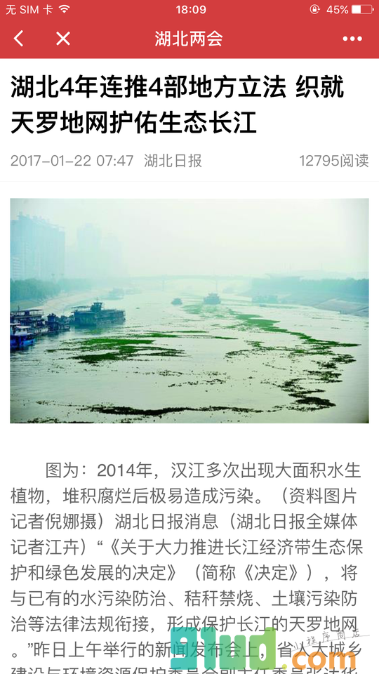 湖北两会截图2