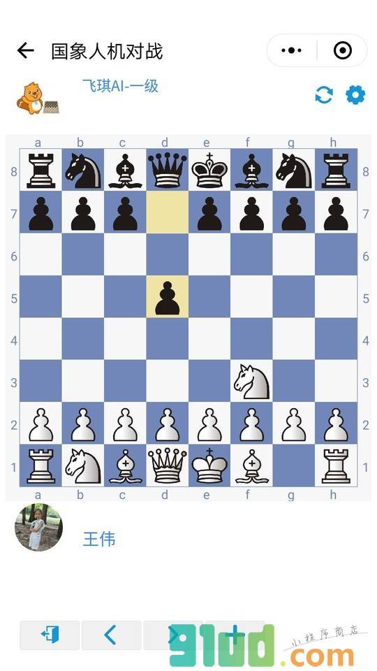 飞琪国际象棋截图1